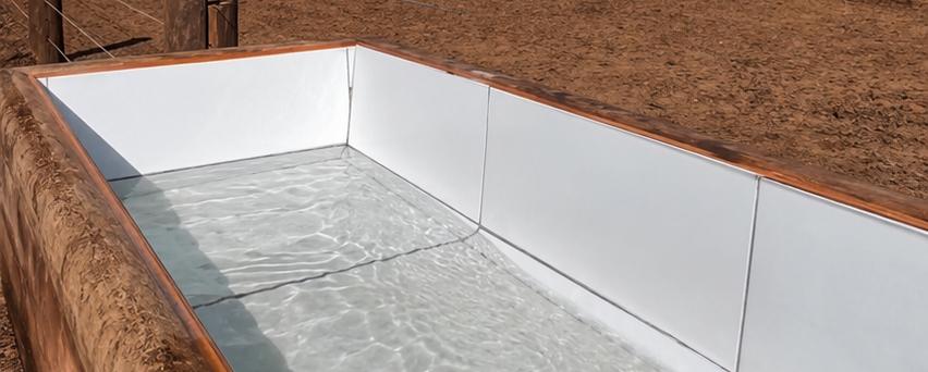 Bebedero limpio con agua transparente en un confinamiento de bovinos